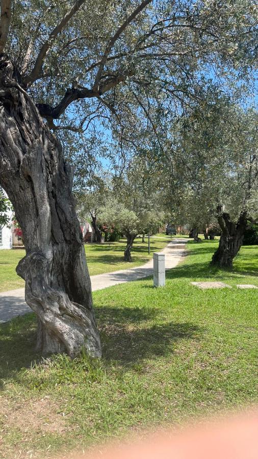 L'Isola Dei Vacanzieri Sant'Andrea Apostolo dello Ionio Bagian luar foto